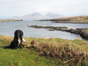 Schottland-Urlaub mit Hund